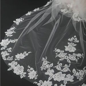 Cathedral Veil NEW *Never worn in original packing*